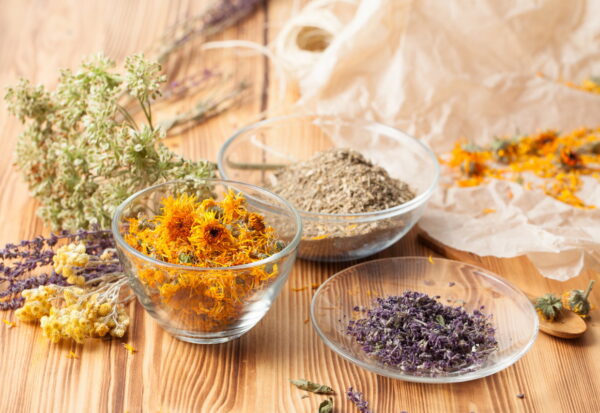 Dobrodziejstwo ziół i kwiatów – które z nich używane są w kosmetykach?